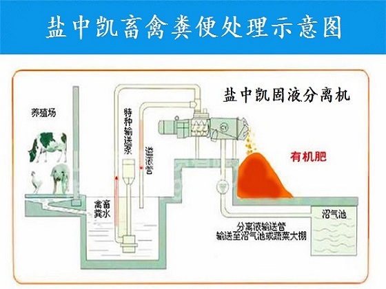 豬糞草莓视频在线观看入口機