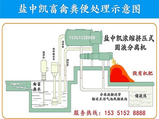 豬糞濃縮擠壓式草莓视频在线观看入口機